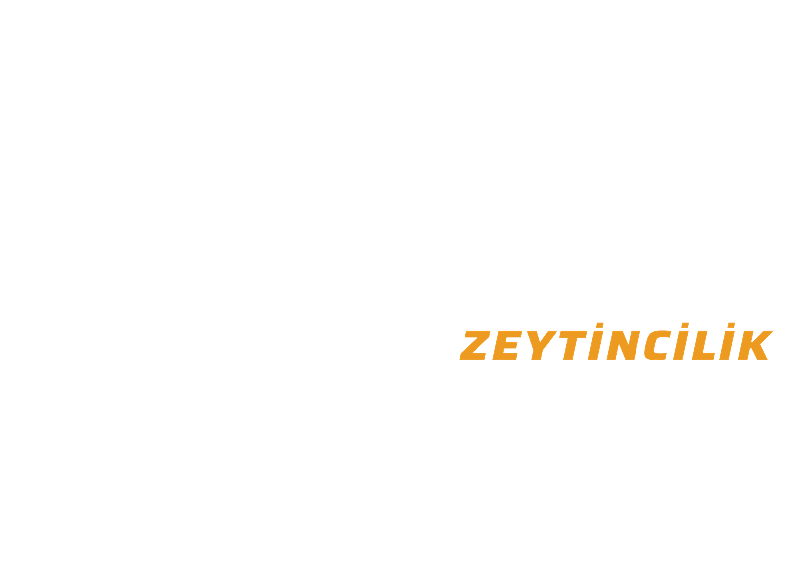akansel logo.pdf (1)